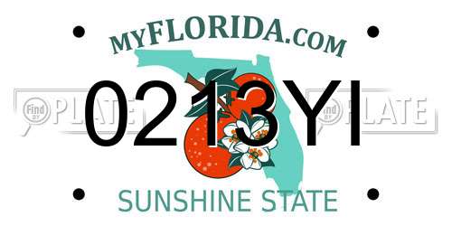 0213YI Florida License Plate
