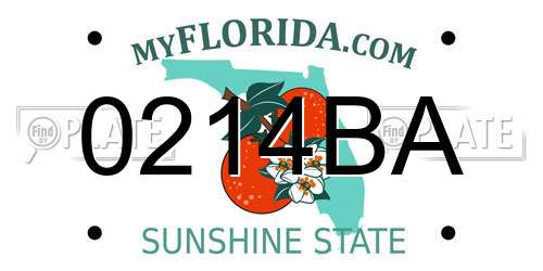 0214BA Florida License Plate