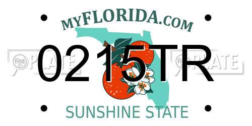 0215TR Florida License Plate