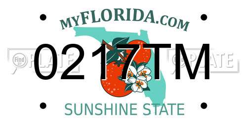 0217TM Florida License Plate