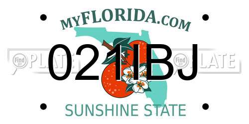 021IBJ Florida License Plate