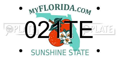 021TE Florida License Plate