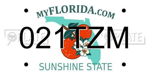 021TZM Florida License Plate