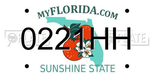 0221HH Florida License Plate
