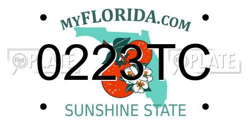 0223TC Florida License Plate