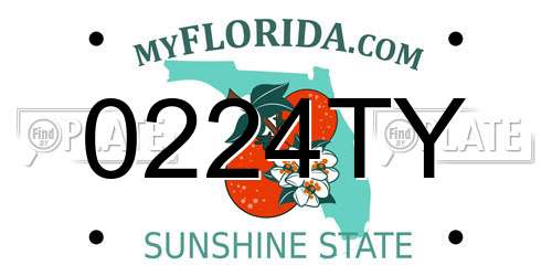 0224TY Florida License Plate