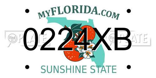 0224XB Florida License Plate