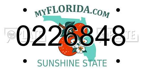 0226848 Florida License Plate