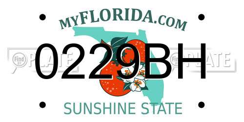 0229BH Florida License Plate