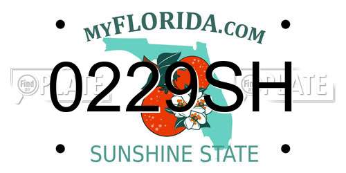 0229SH Florida License Plate