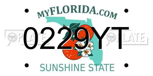 0229YT Florida License Plate