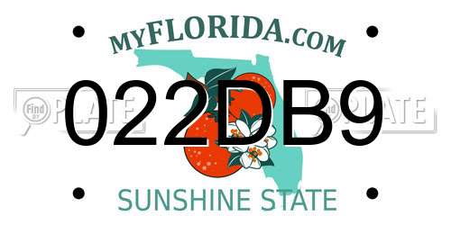 022DB9 Florida License Plate