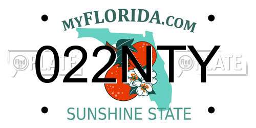 022NTY Florida License Plate