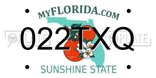 022TXQ Florida License Plate