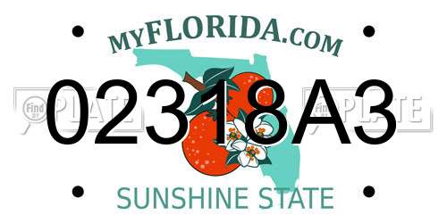 02318A3 Florida License Plate