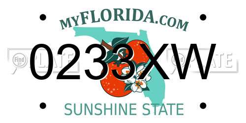 0233XW Florida License Plate