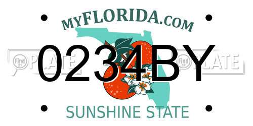 0234BY Florida License Plate