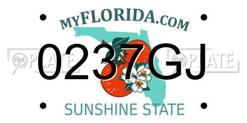 0237GJ Florida License Plate