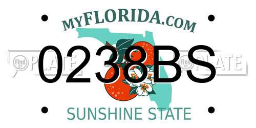0238BS Florida License Plate