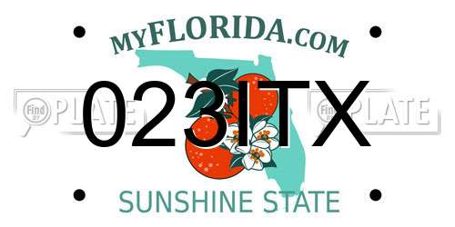 023ITX Florida License Plate