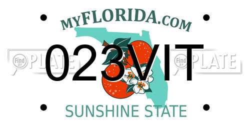 023VIT Florida License Plate