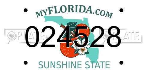 024528 Florida License Plate