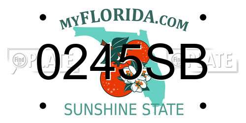 0245SB Florida License Plate