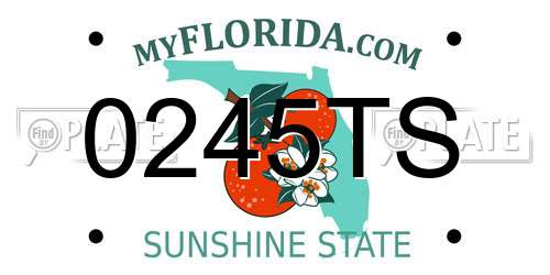 0245TS Florida License Plate