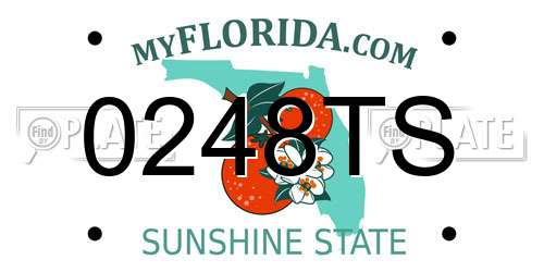 0248TS Florida License Plate