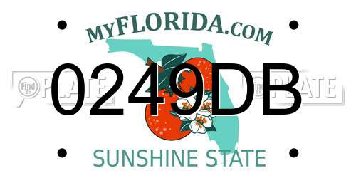 0249DB Florida License Plate
