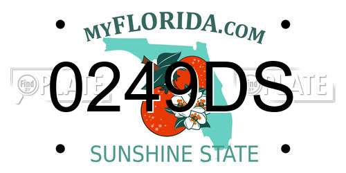 0249DS Florida License Plate