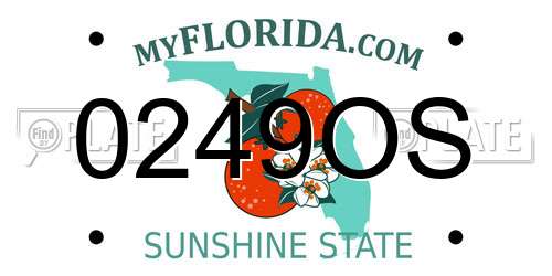 0249OS Florida License Plate