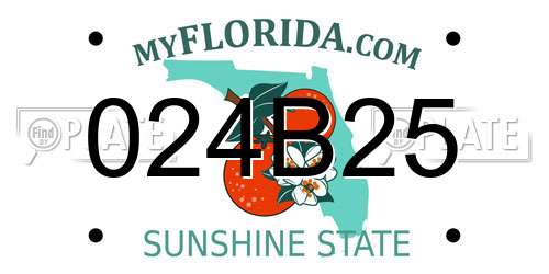 024B25 Florida License Plate