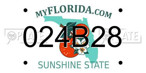 024B28 Florida License Plate