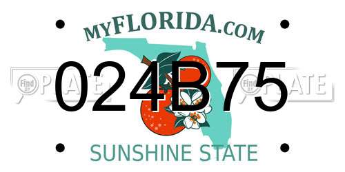 024B75 Florida License Plate