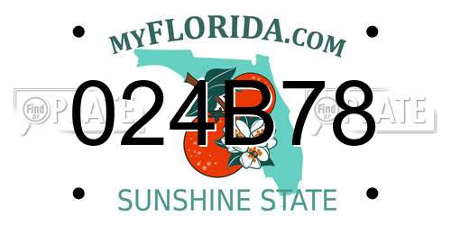 024B78 Florida License Plate