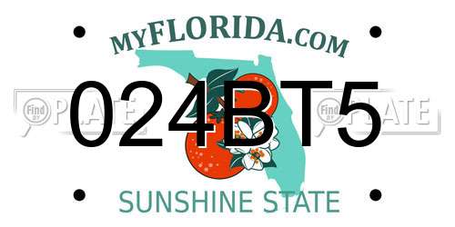 024BT5 Florida License Plate