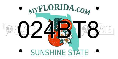 024BT8 Florida License Plate