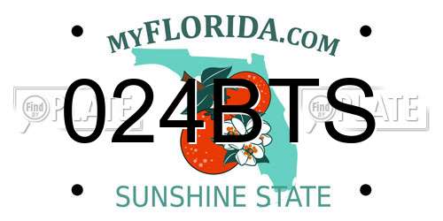 024BTS Florida License Plate