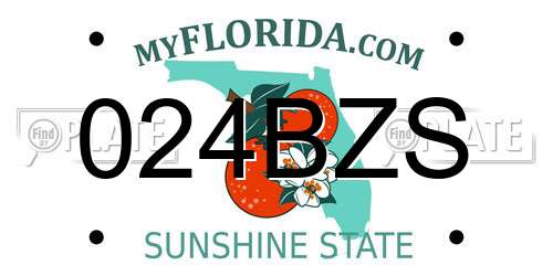 024BZS Florida License Plate