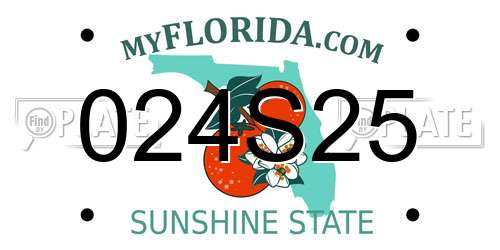 024S25 Florida License Plate