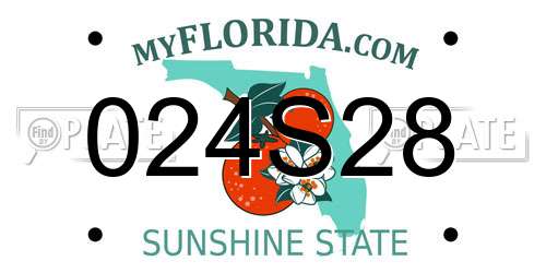 024S28 Florida License Plate