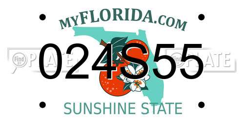 024S55 Florida License Plate