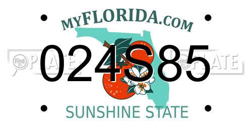 024S85 Florida License Plate