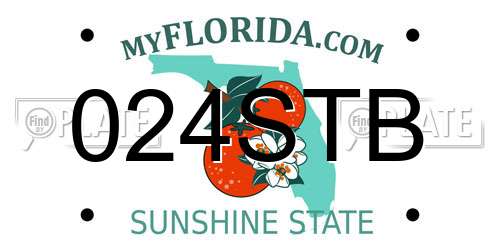 024STB Florida License Plate