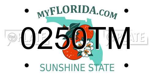 0250TM Florida License Plate