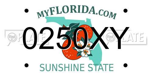 0250XY Florida License Plate