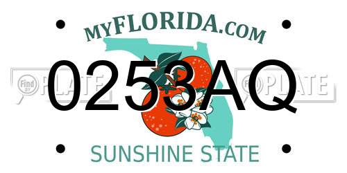 0253AQ Florida License Plate