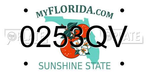 0253QV Florida License Plate