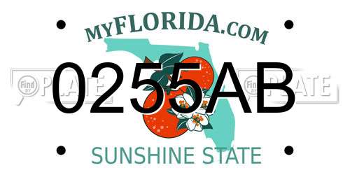 0255AB Florida License Plate